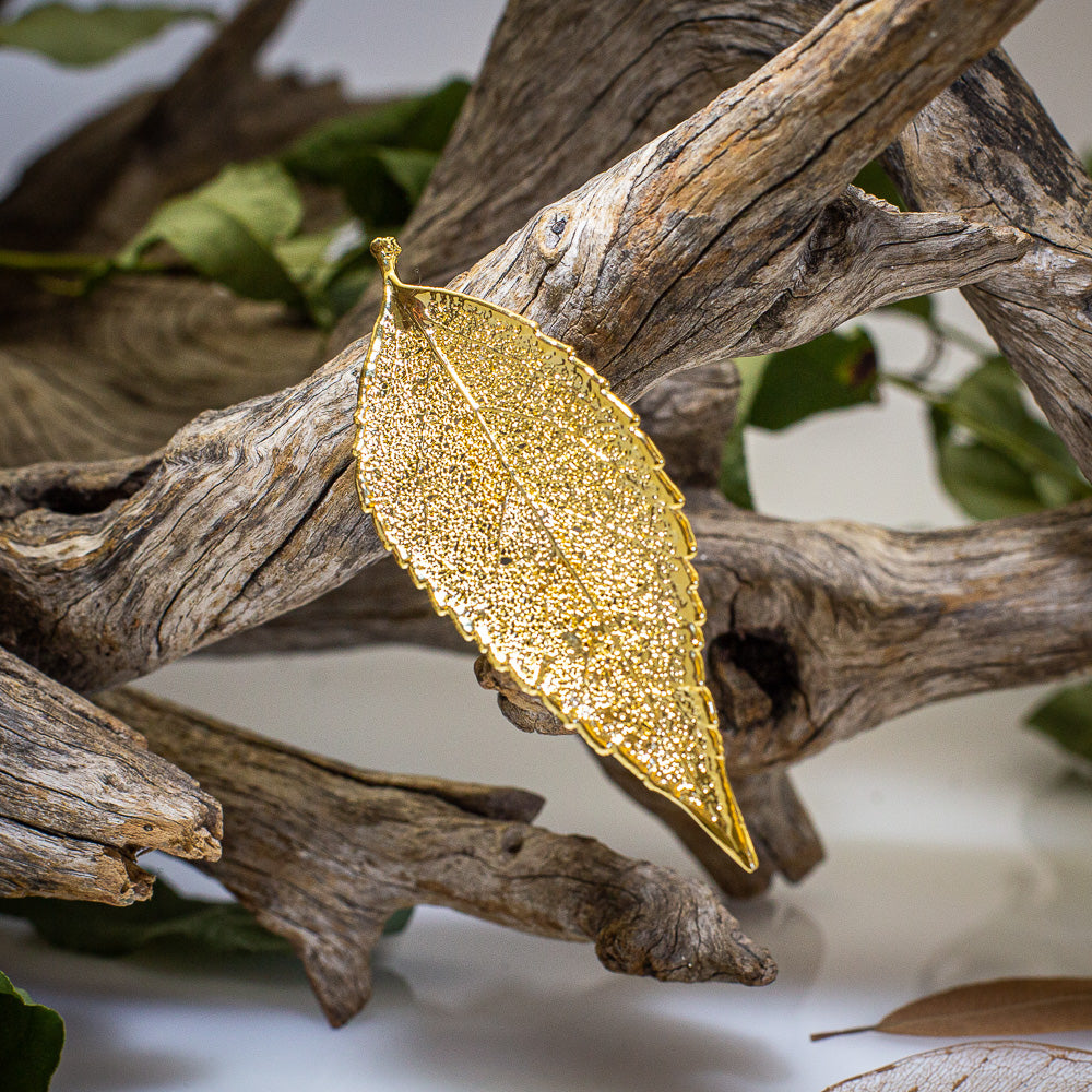 Eucalyptus Leaf Gold Brooch