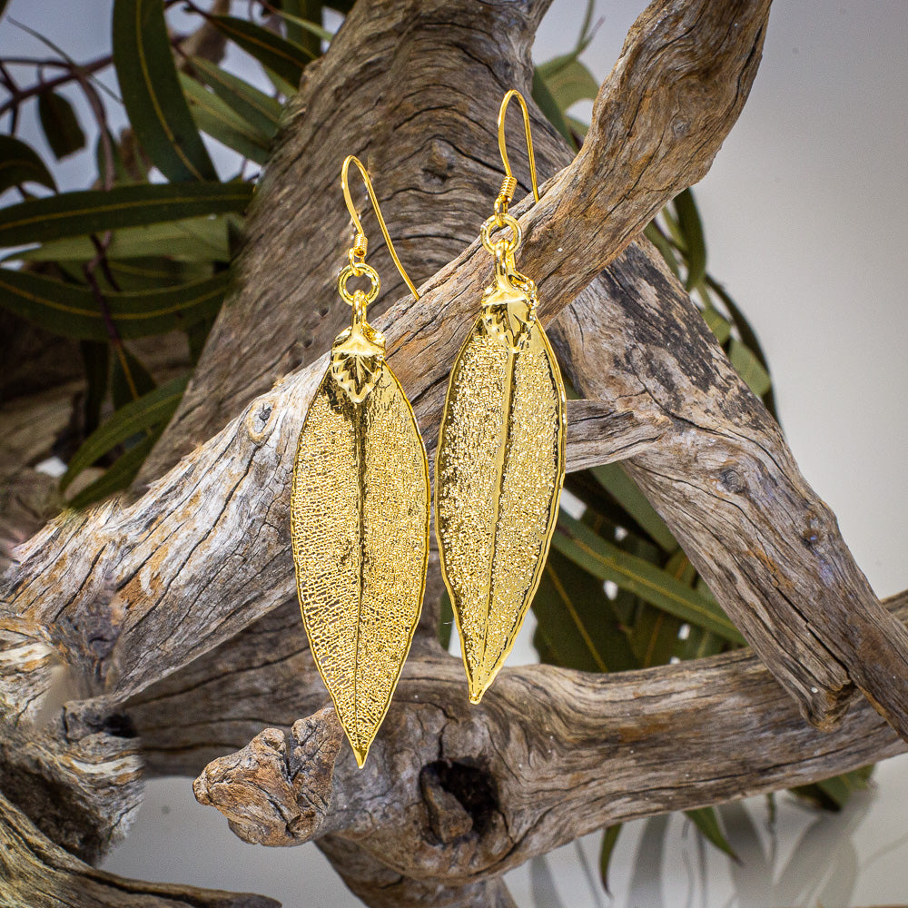Red Gum Eucalyptus Leaf Gold Earrings