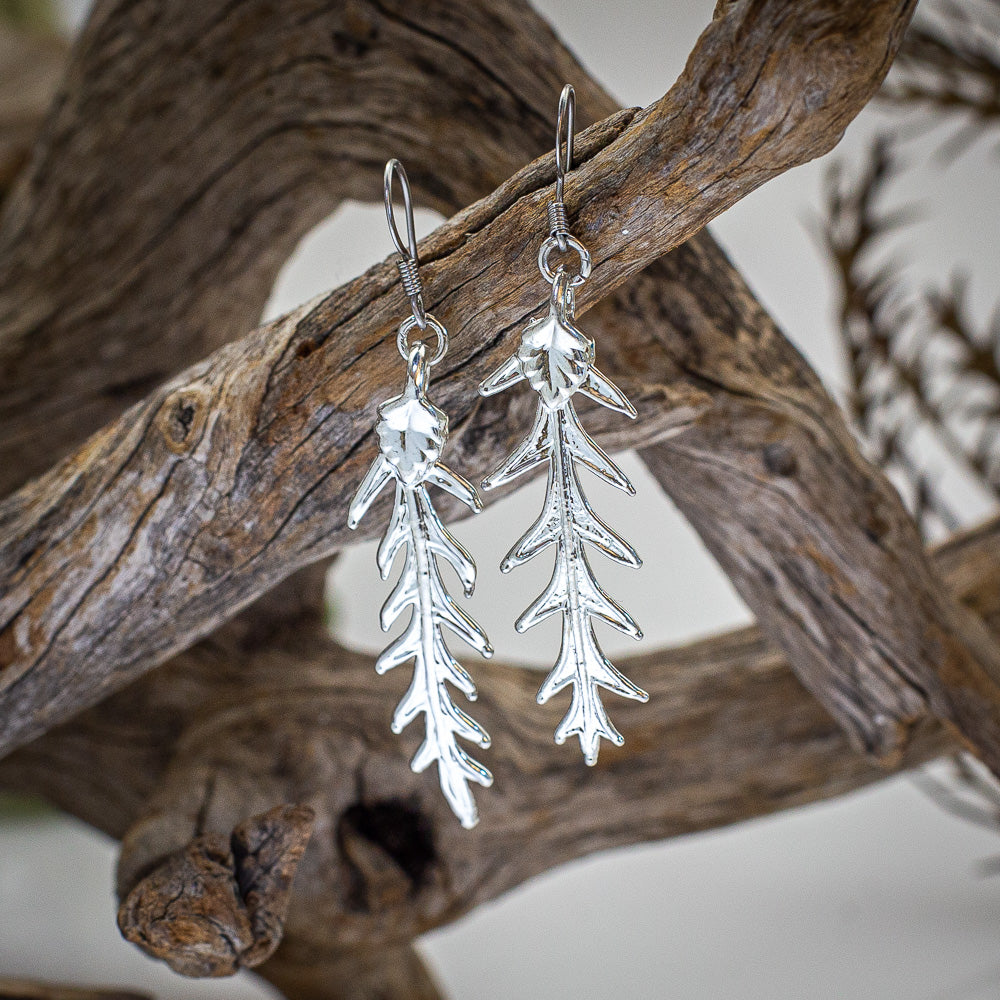 Grevillea Ivanhoe Leaf Silver Earrings