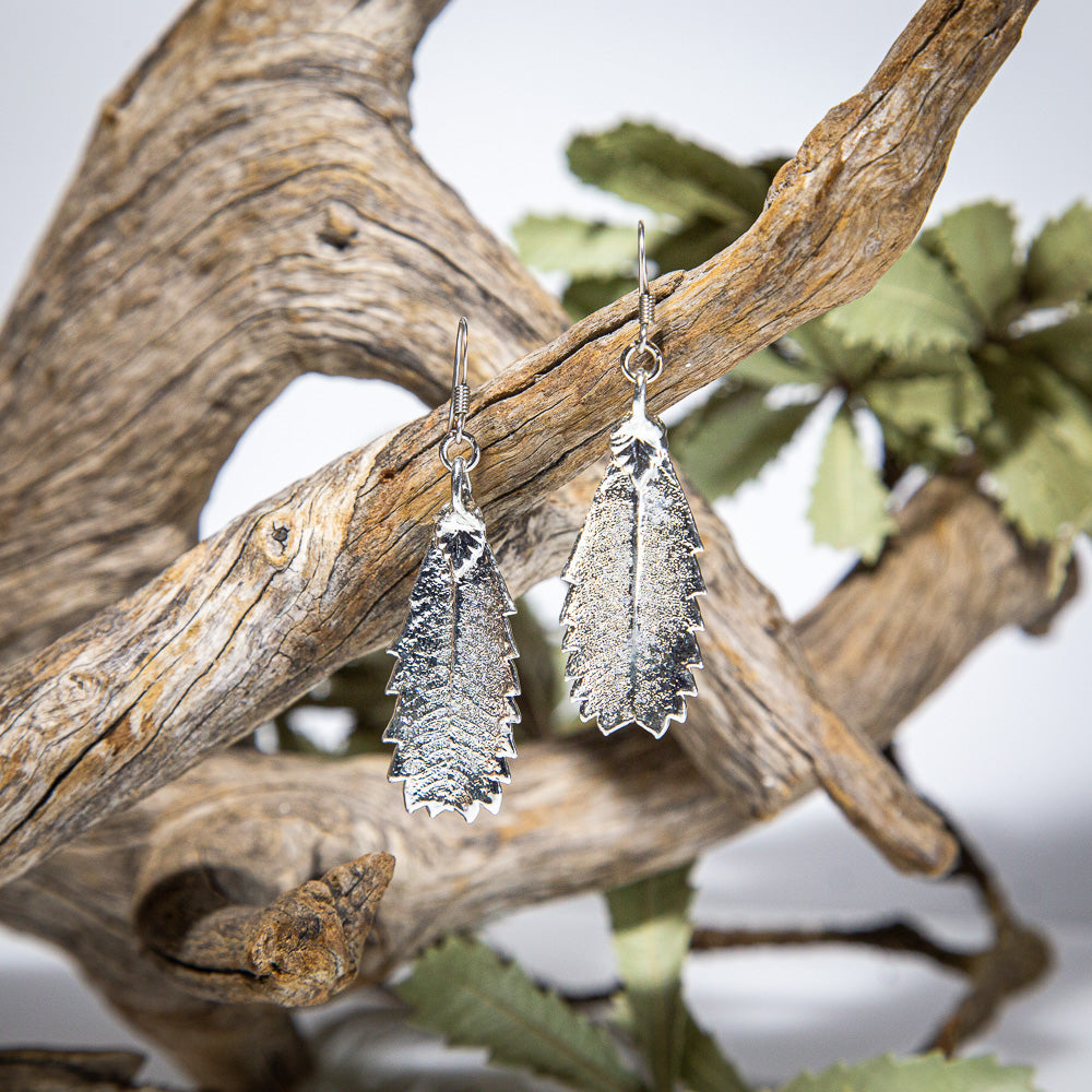 Banksia Leaf Silver Earrings