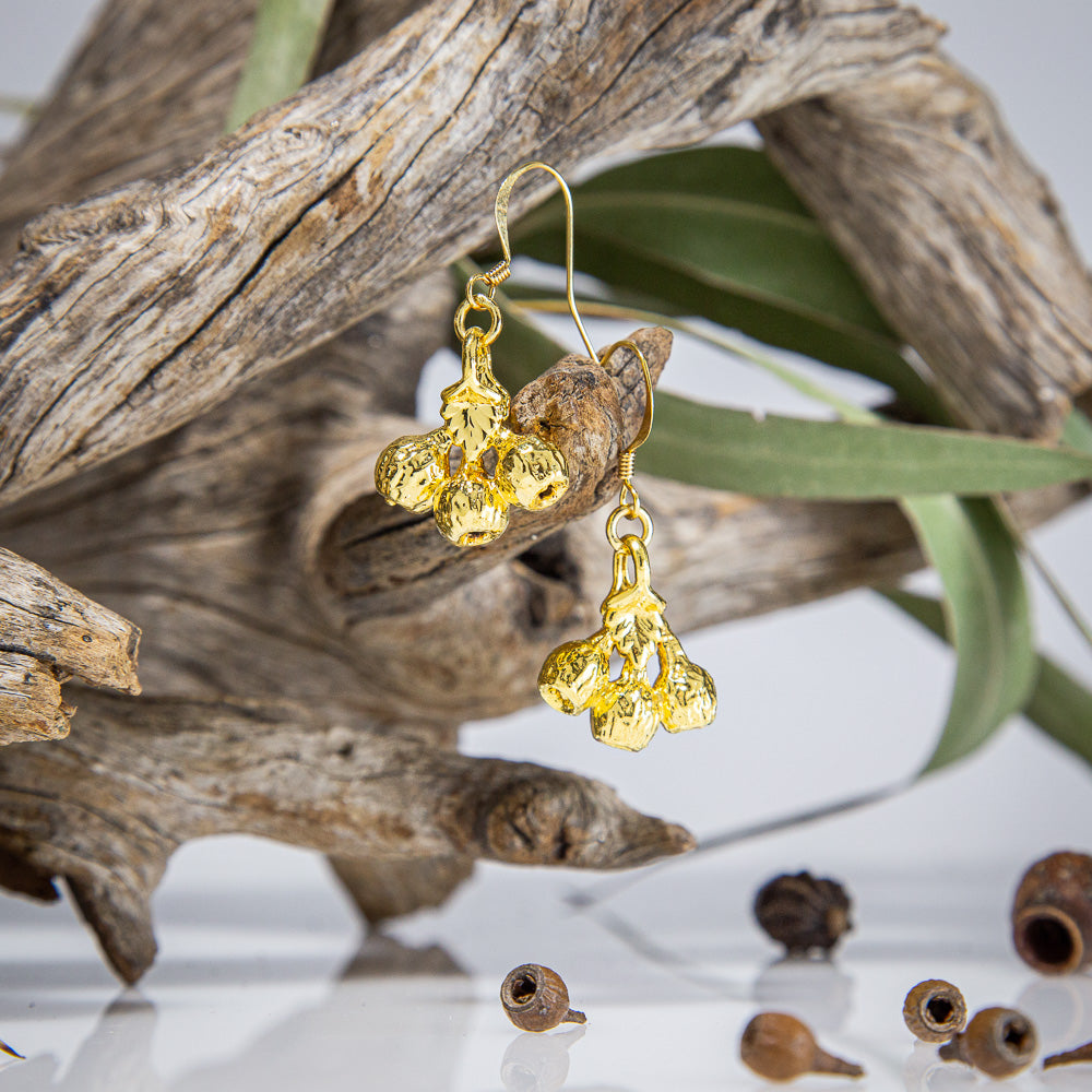 Eucalyptus Mallee Gum Nuts Gold Earrings