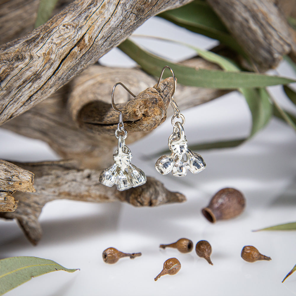 Eucalyptus Mallee Gum Nut Silver Earrings