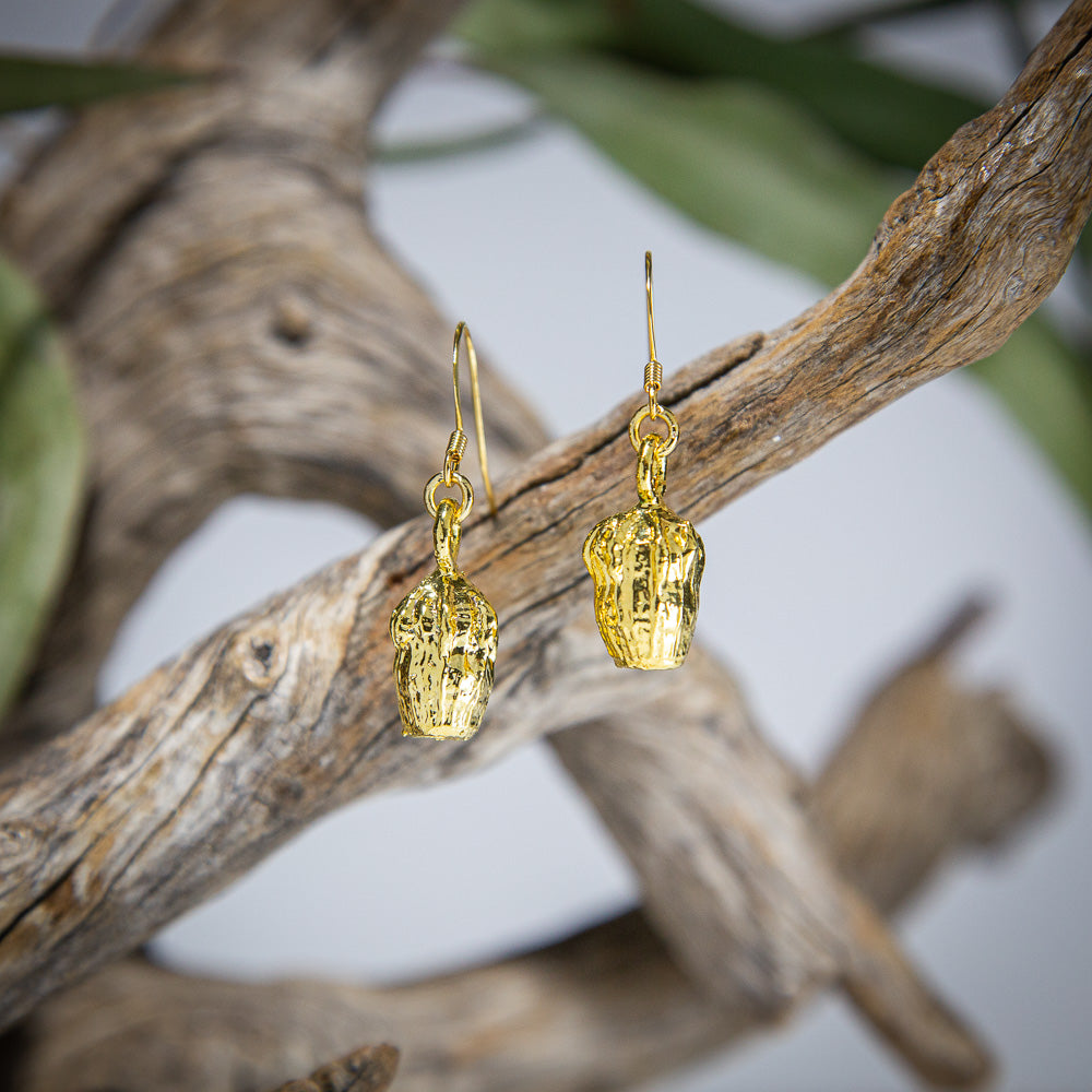 Eucalyptus Scribbly Gum Nuts Gold Earrings