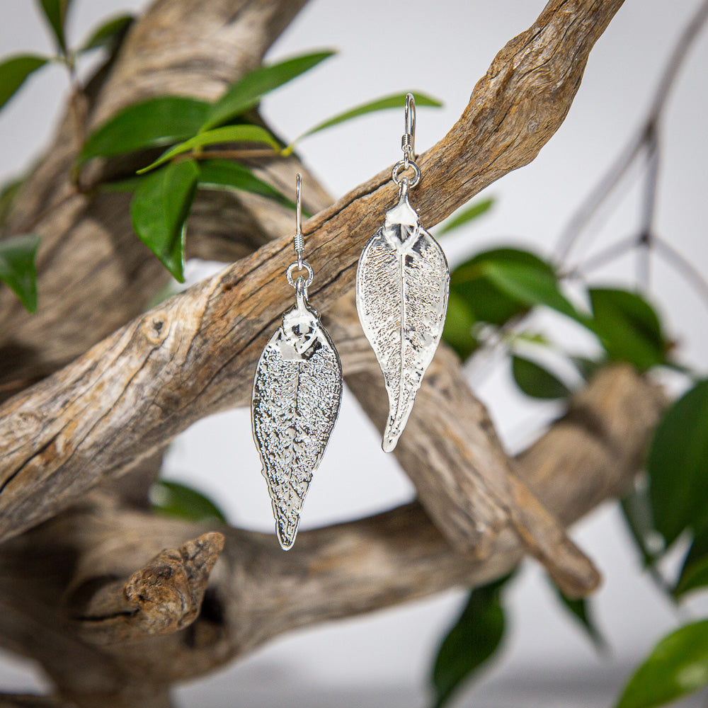 Lilly Pilly Leaf Silver Earrings