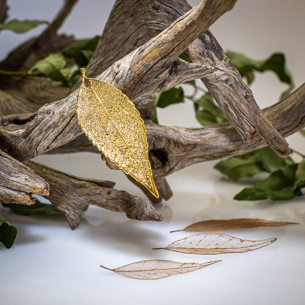 Eucalyptus Leaf Gold Brooch