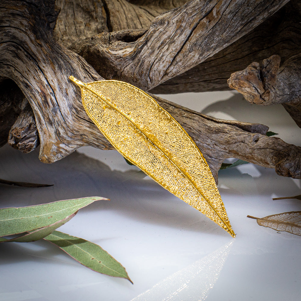 Red Gum Eucalyptus Leaf Gold Brooch