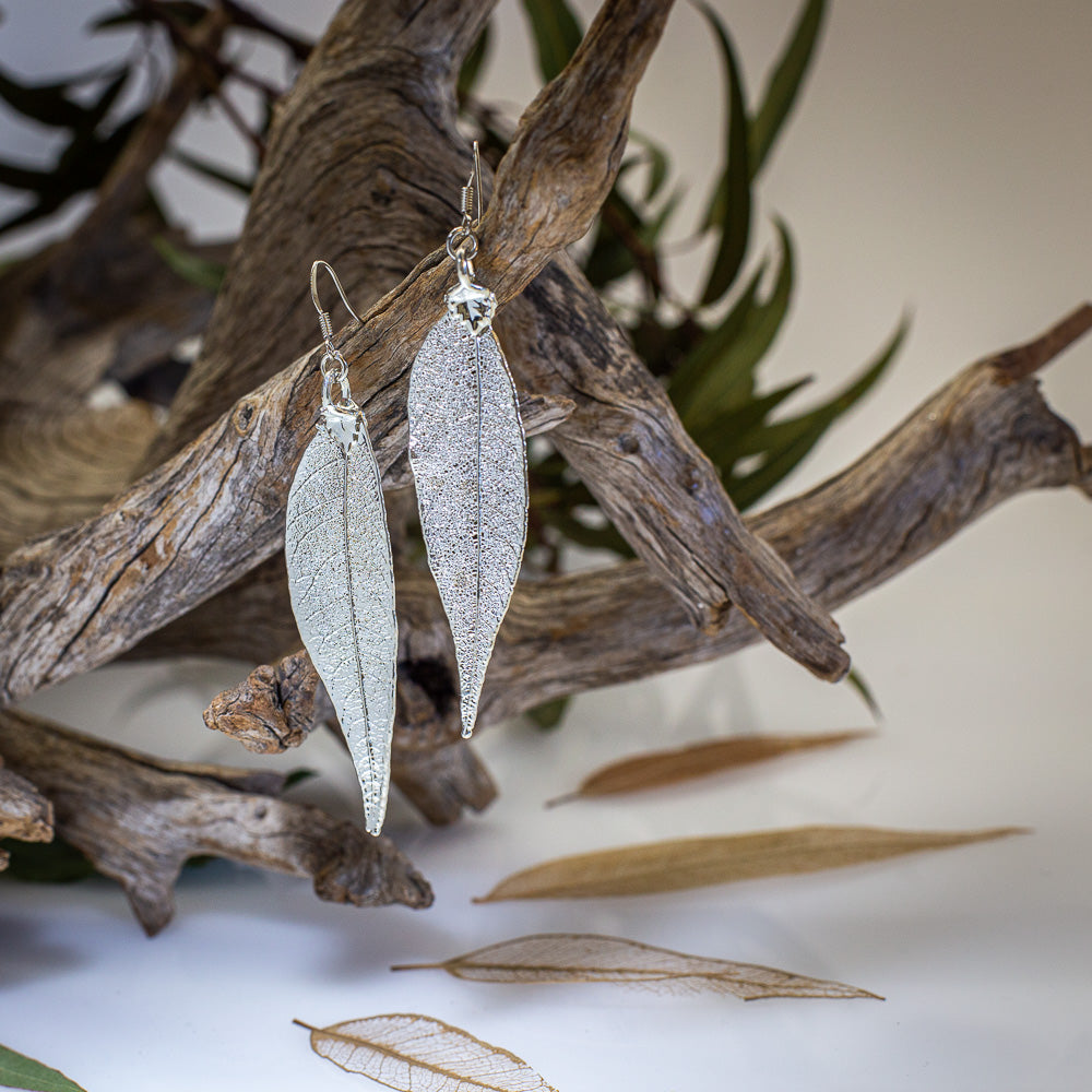 Red Gum Eucalyptus Leaf Silver Earrings