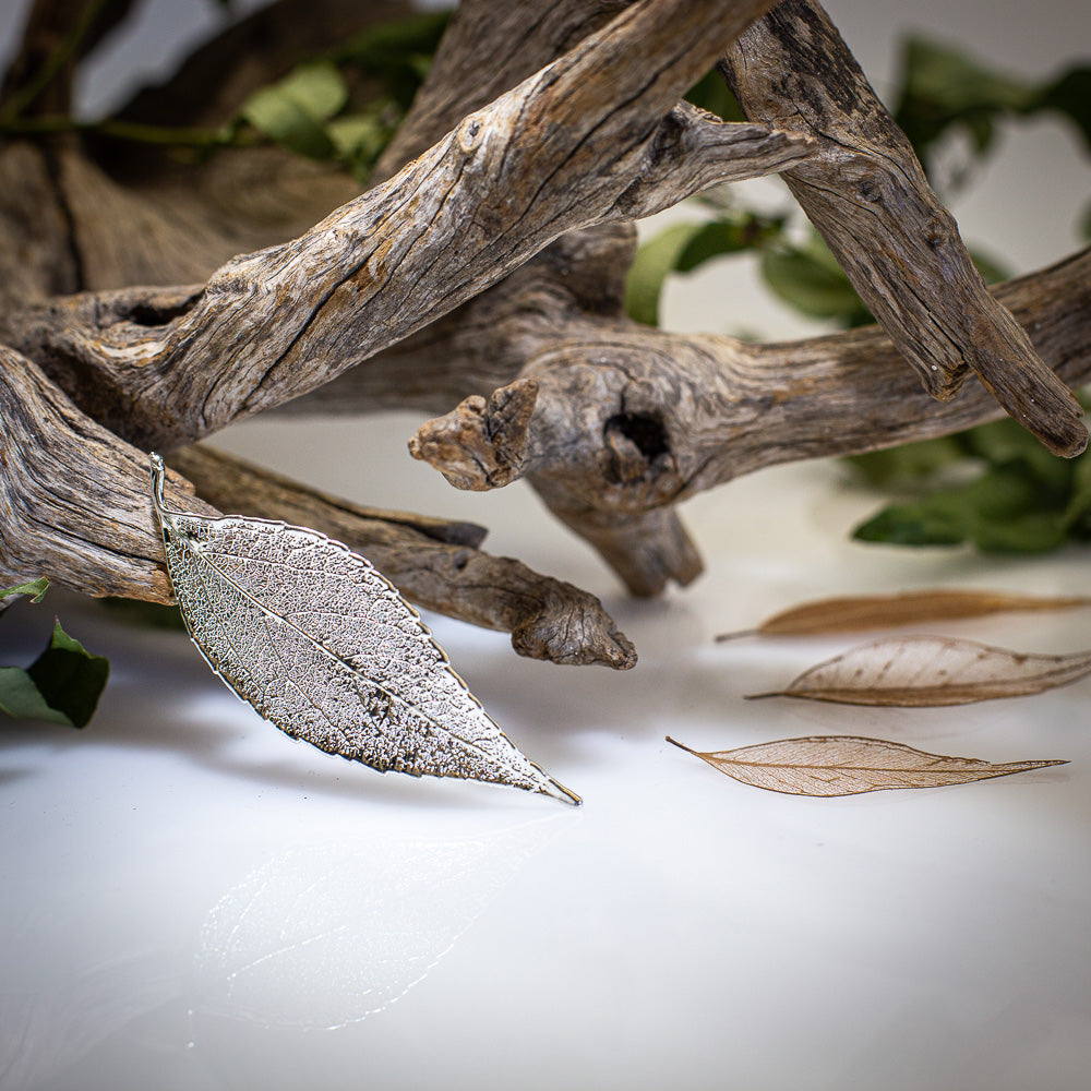 Eucalyptus Leaf Silver Brooch