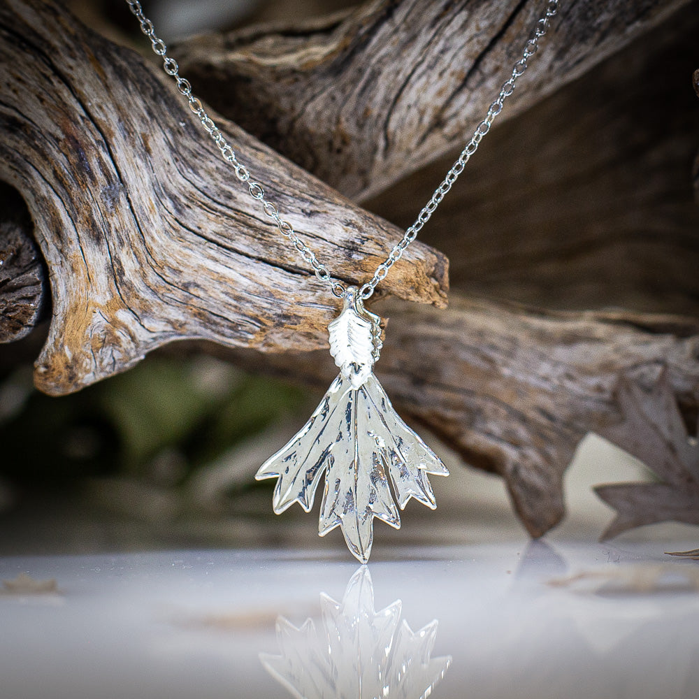 Grevillea Glabrata Leaf Silver Pendant & Earrings Set