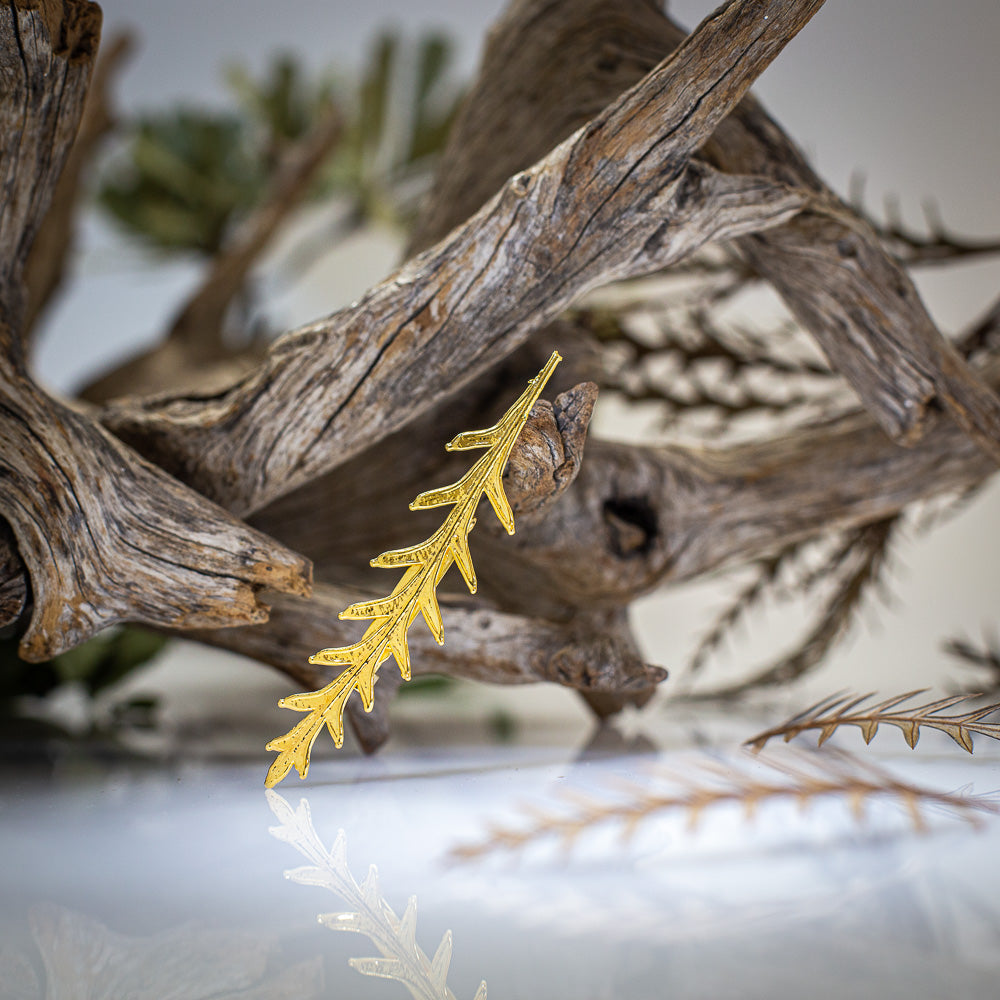 Grevillea Ivanhoe Leaf Gold Brooch