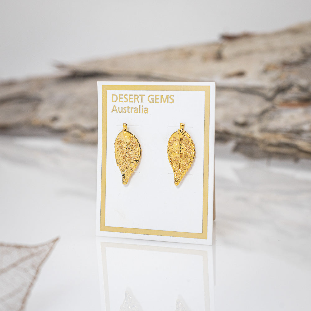 Dainty Eucalyptus Leaf - Gold Stud Earrings