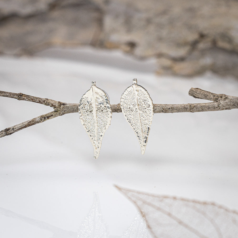 Dainty Eucalyptus Leaf - Silver Stud Earrings